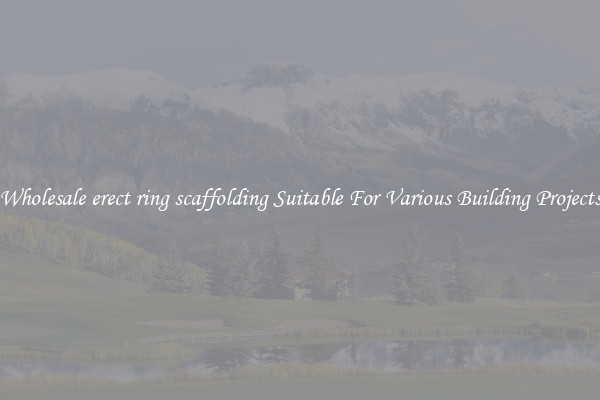 Wholesale erect ring scaffolding Suitable For Various Building Projects