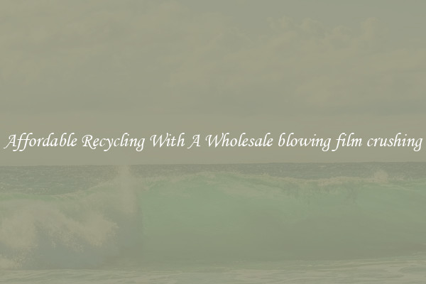 Affordable Recycling With A Wholesale blowing film crushing