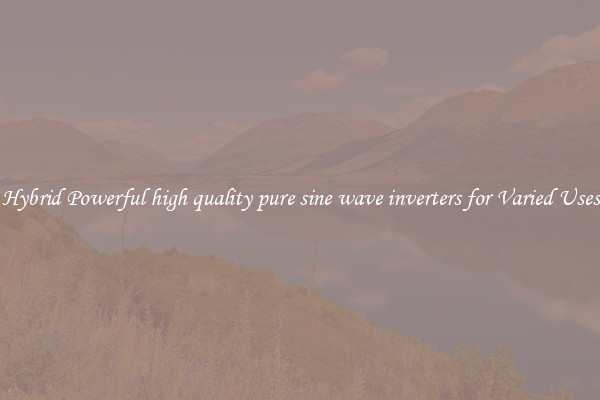 Hybrid Powerful high quality pure sine wave inverters for Varied Uses