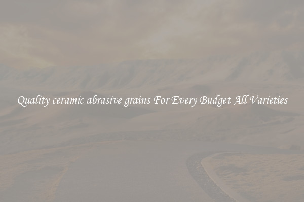 Quality ceramic abrasive grains For Every Budget All Varieties