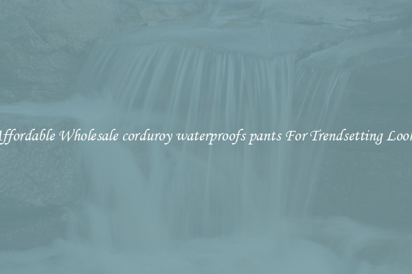 Affordable Wholesale corduroy waterproofs pants For Trendsetting Looks