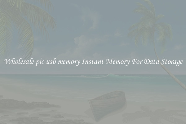 Wholesale pic usb memory Instant Memory For Data Storage