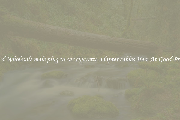Find Wholesale male plug to car cigarette adapter cables Here At Good Prices