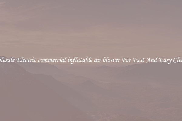Wholesale Electric commercial inflatable air blower For Fast And Easy Cleanup