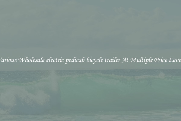 Various Wholesale electric pedicab bicycle trailer At Multiple Price Levels