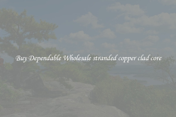 Buy Dependable Wholesale stranded copper clad core