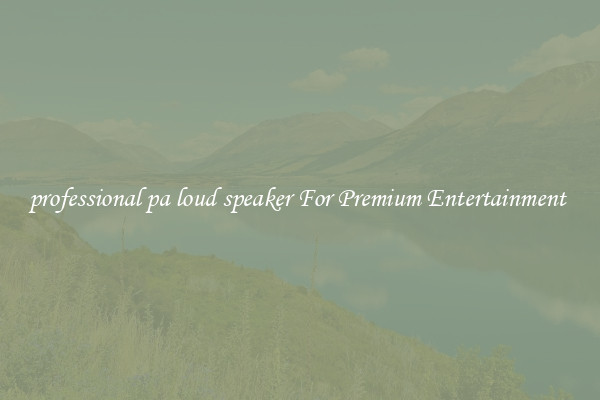 professional pa loud speaker For Premium Entertainment 