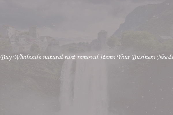 Buy Wholesale natural rust removal Items Your Business Needs