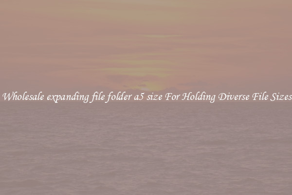 Wholesale expanding file folder a5 size For Holding Diverse File Sizes