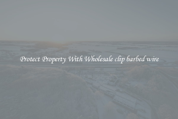 Protect Property With Wholesale clip barbed wire