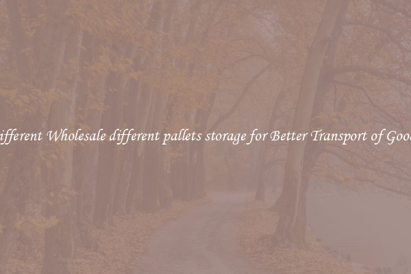 Different Wholesale different pallets storage for Better Transport of Goods 
