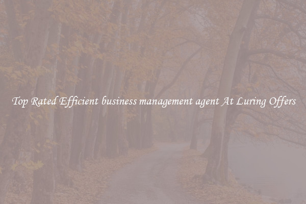 Top Rated Efficient business management agent At Luring Offers