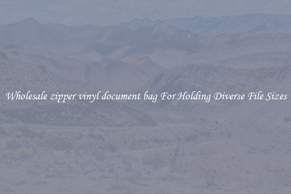 Wholesale zipper vinyl document bag For Holding Diverse File Sizes