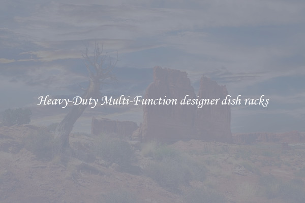 Heavy-Duty Multi-Function designer dish racks