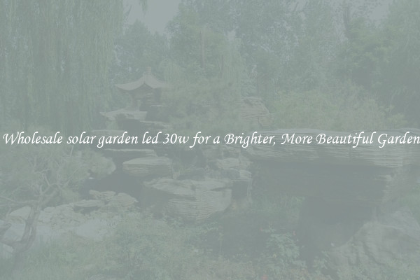 Wholesale solar garden led 30w for a Brighter, More Beautiful Garden