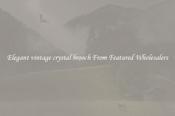 Elegant vintage crystal brooch From Featured Wholesalers