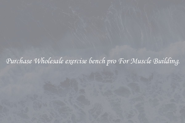 Purchase Wholesale exercise bench pro For Muscle Building.