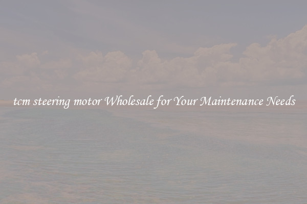 tcm steering motor Wholesale for Your Maintenance Needs