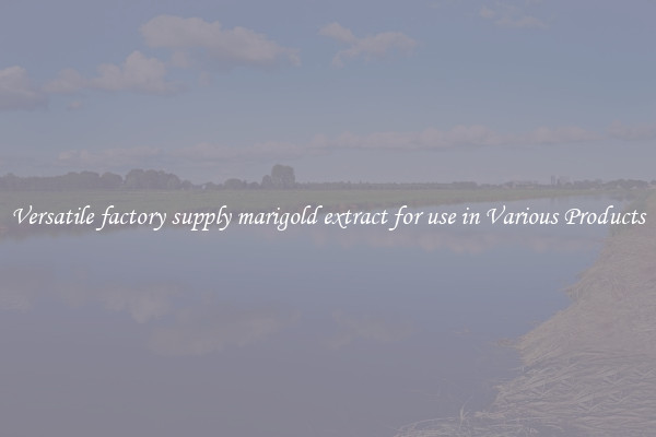 Versatile factory supply marigold extract for use in Various Products
